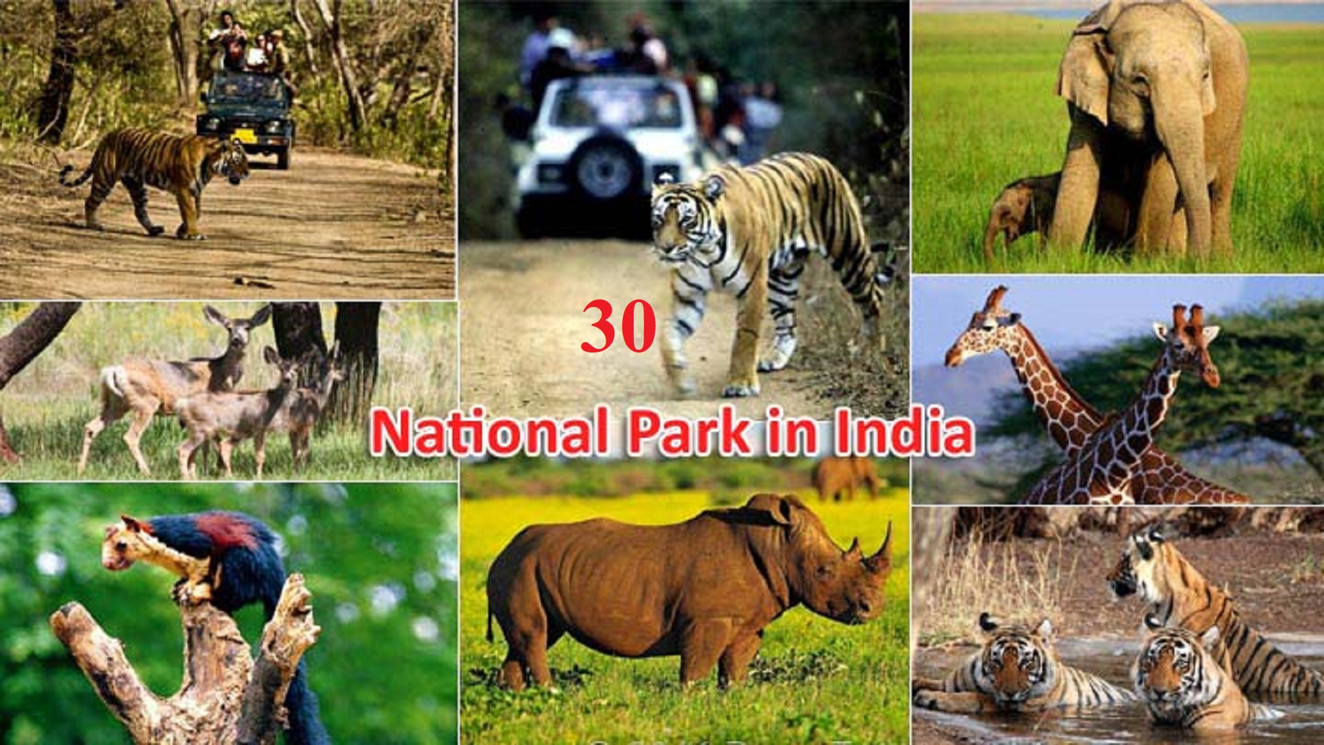Best 30 National Parks in India