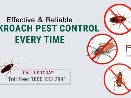 Best Cockroaches Pest Control Services