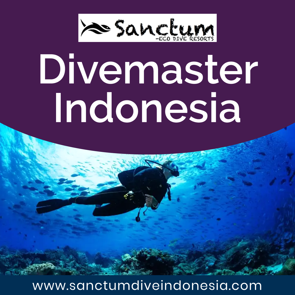 Sanctum Dive Resort