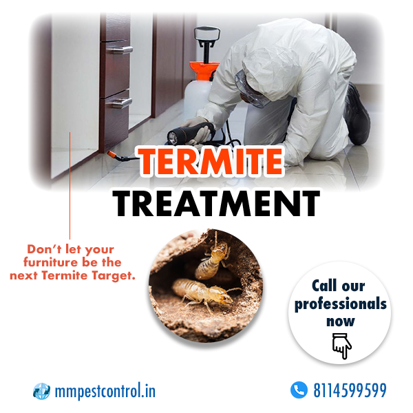 MM Pest Control Service In Bihar, Jharkhand (India)