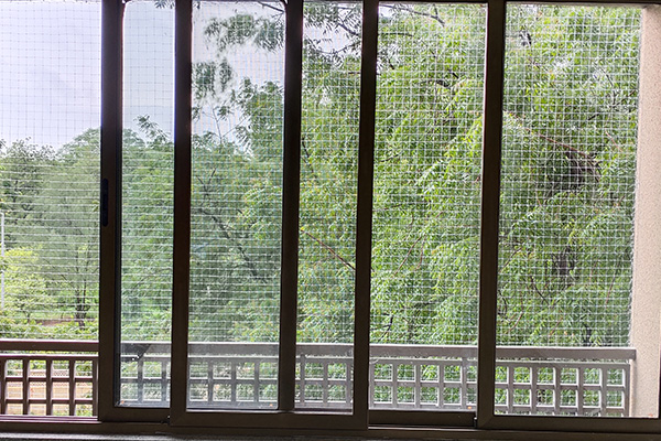 bird safety net, anti bird net, manufacturer, Ahmedabad