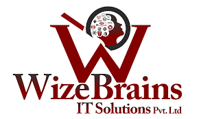 Wize Brains IT Solution Pvt Ltd