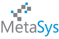 MetaSys Software – IT Services, Consulting and Business Solutions