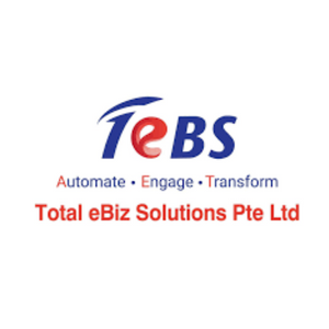 Total eBiz Solutions