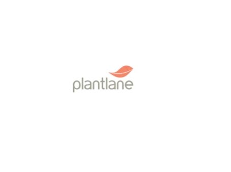 Shop Planter Accessories Online plantlane