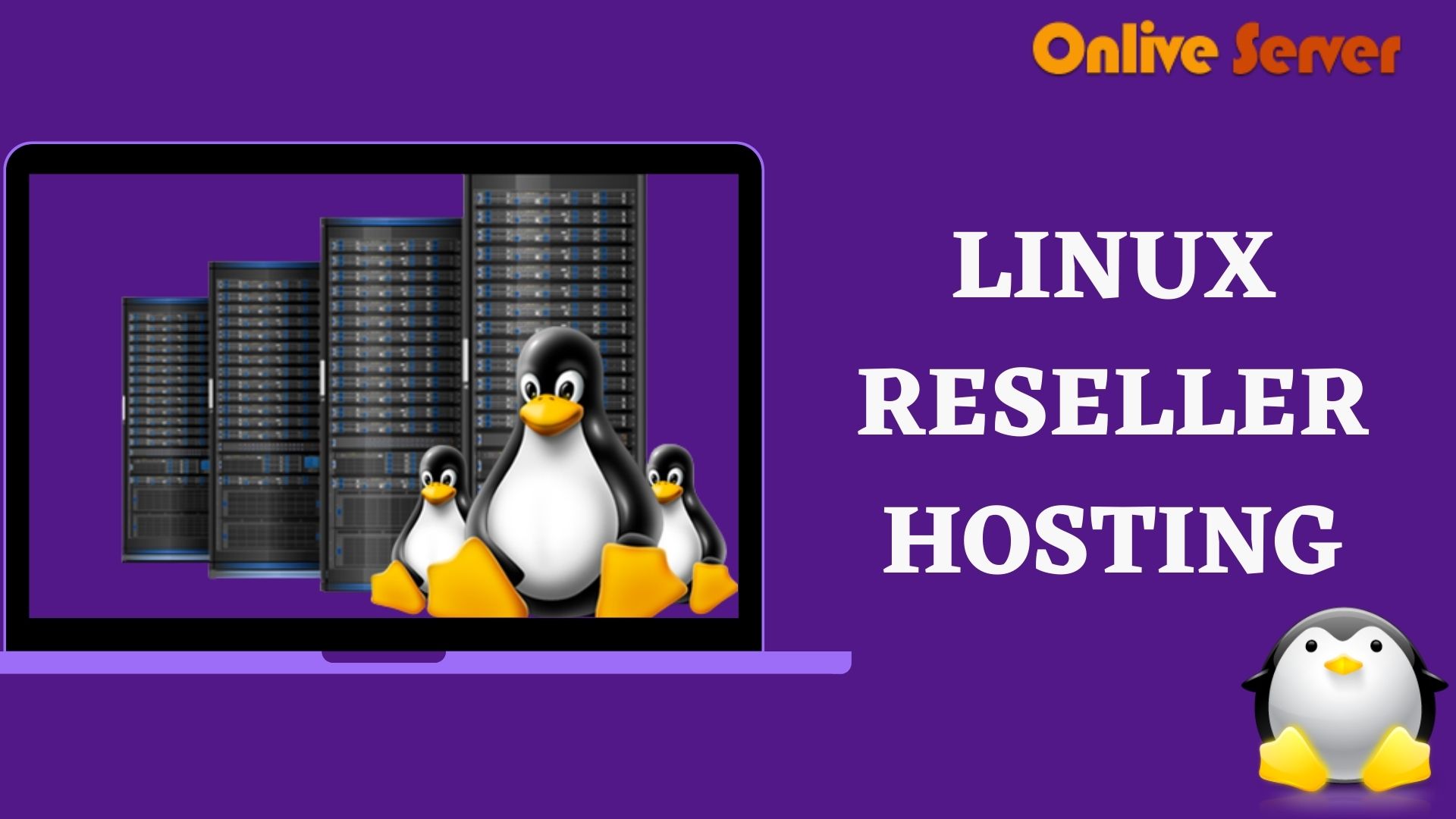 Onlive Server offers Linux Reseller Hosting Server with Better Experience