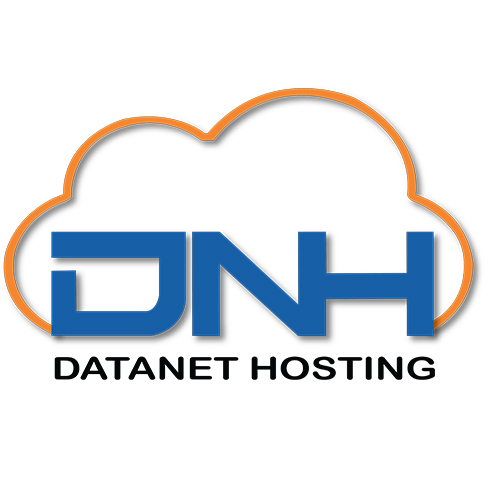 Datanet Offer Web Hosting, Digital Marketing Services & IT Solutions in India