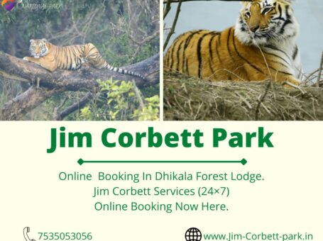Jim Corbett Park Jungle Safari