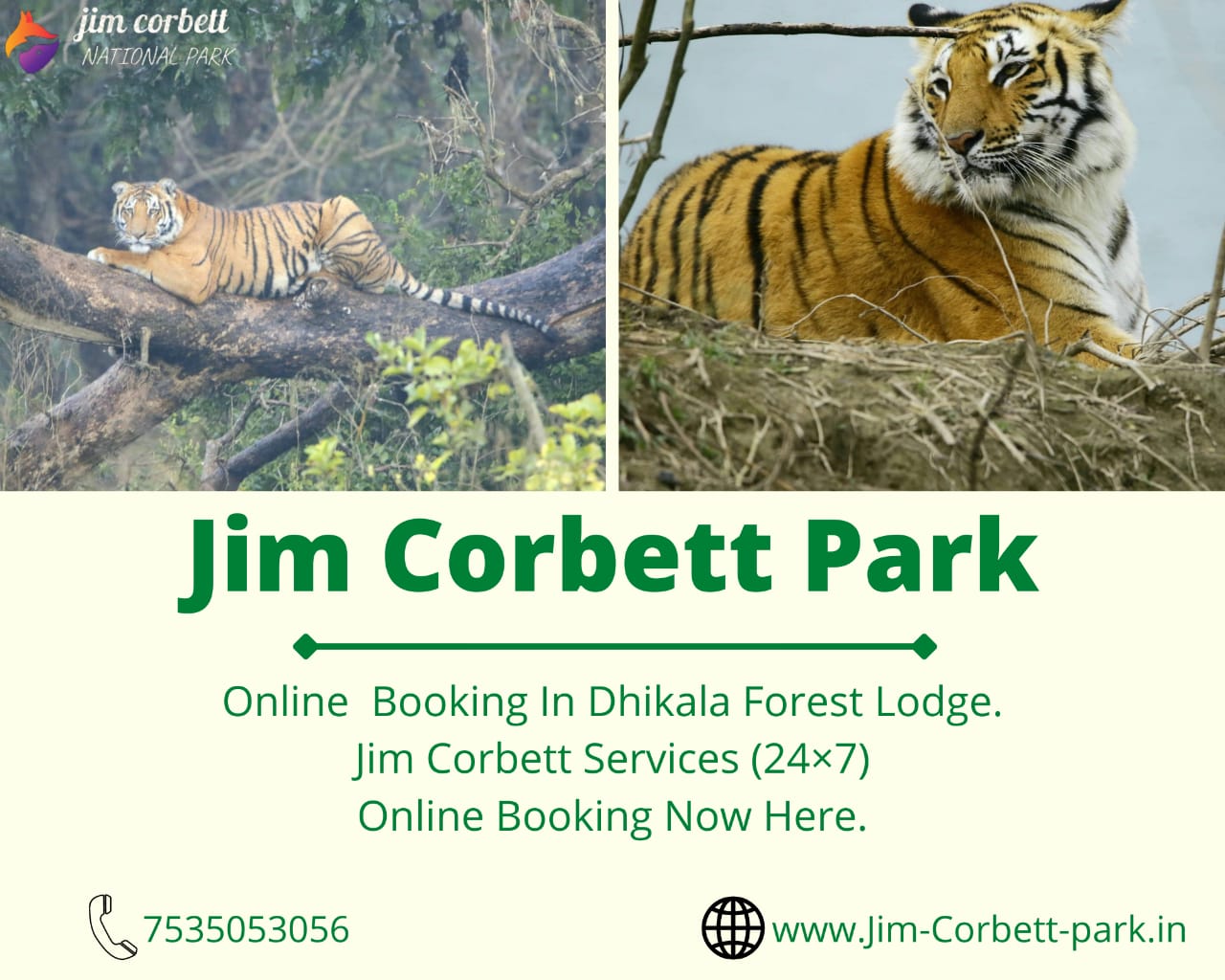 Jim Corbett Park Jungle Safari