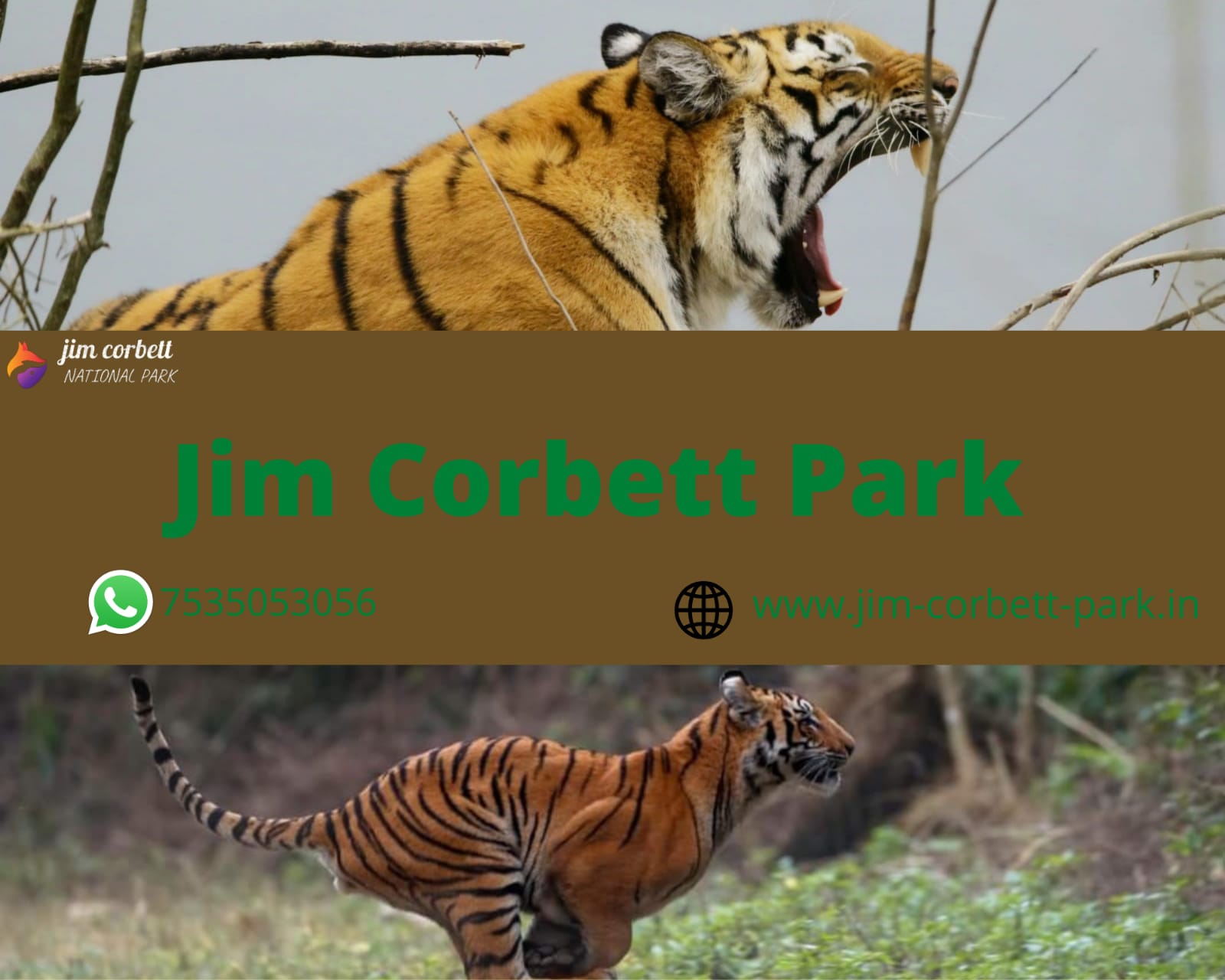 Things to do in Jim Corbett National Park