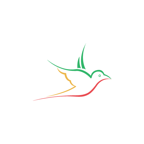 Freelancewebdesigner – Web Designer in Kochi, Ernakulam, Kerala