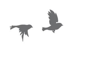 Two Birds one stone cafe