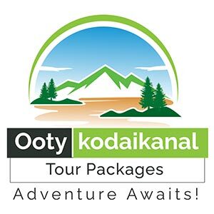 ooty kodai tour package