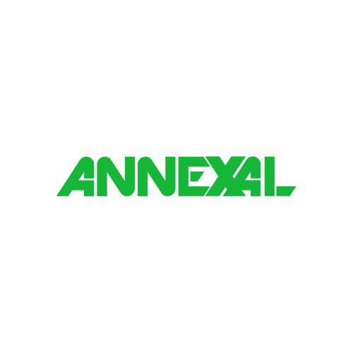 Digital Marketing Company in Canada – Annexal