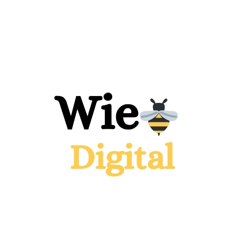 Best Digital Marketing Agency - Wiebee DIgital