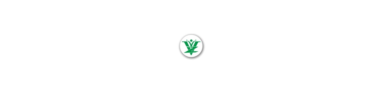 Viz Academy