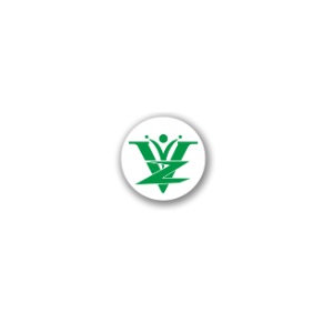 Viz Academy