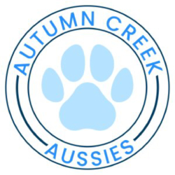 Autumn Creek Aussies