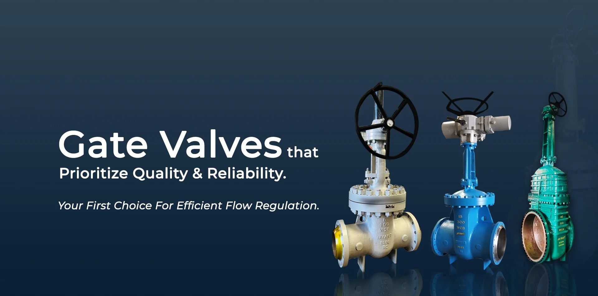 Globe Valve Manufacturers, Supplier in Ahmedabad