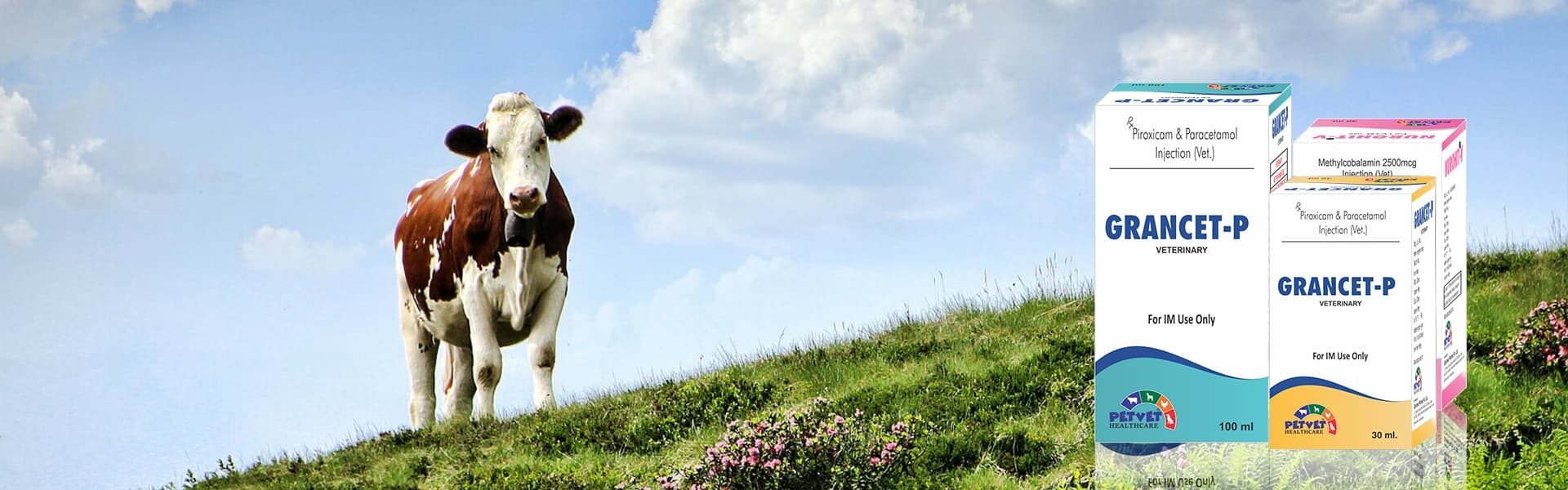 Petvethealthcare
