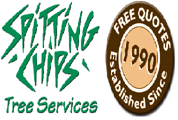 Stump Grinding in Canberra