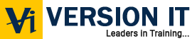 SAP Fico Training in Hyderabad - Version IT