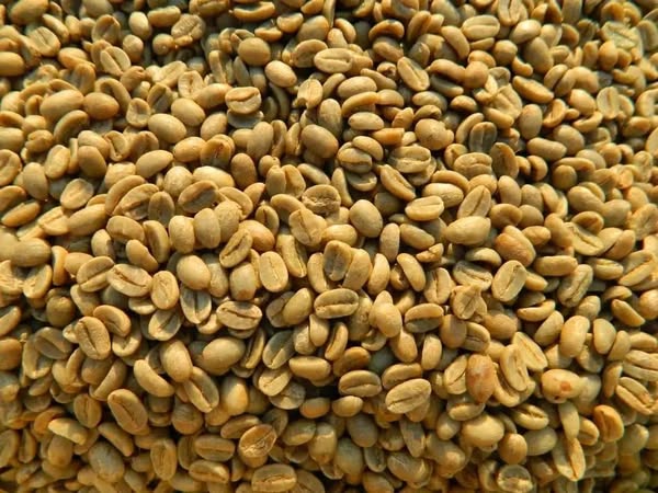 The Green Coffee beans (Arabica Coffee) Grade: AA, A, and AB+27719755564