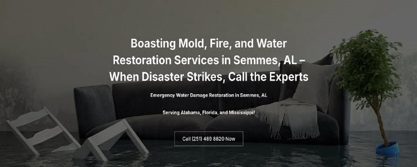 Boasting Mold, Fire,and Water Restoration