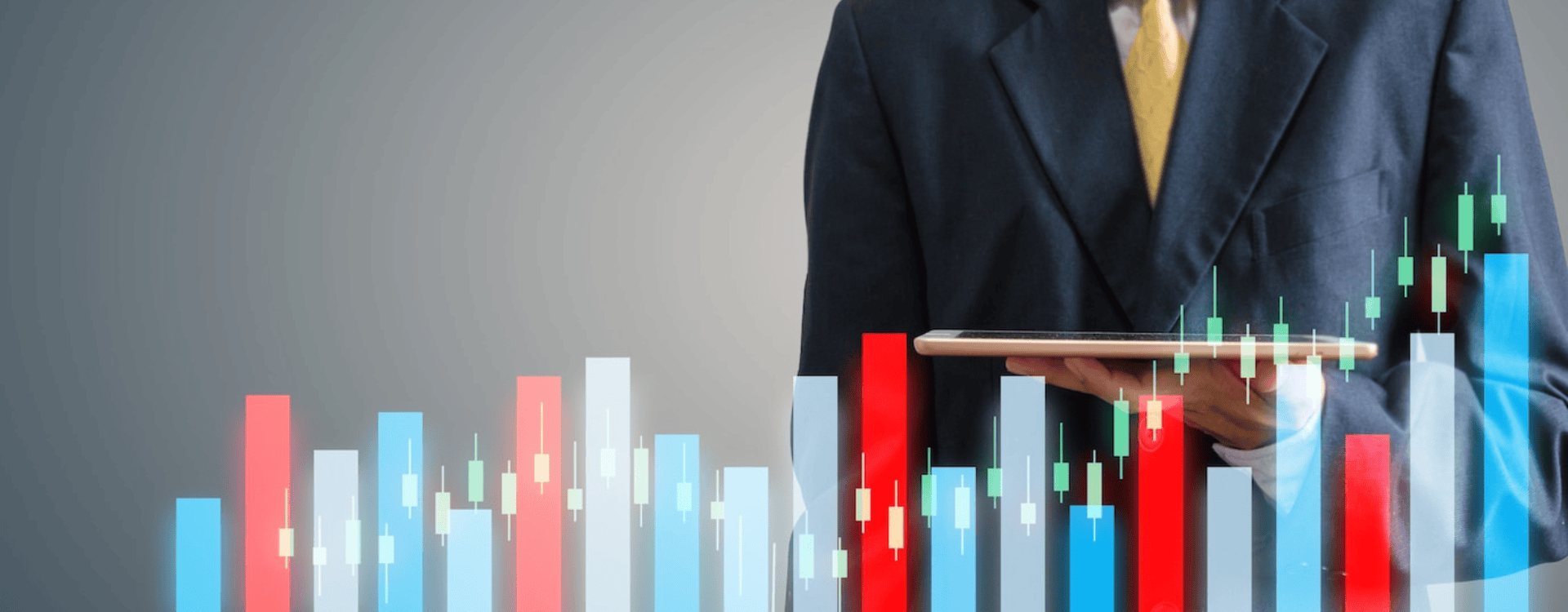 Wealth First Portfolio Managers Limited