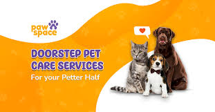 Pawspace