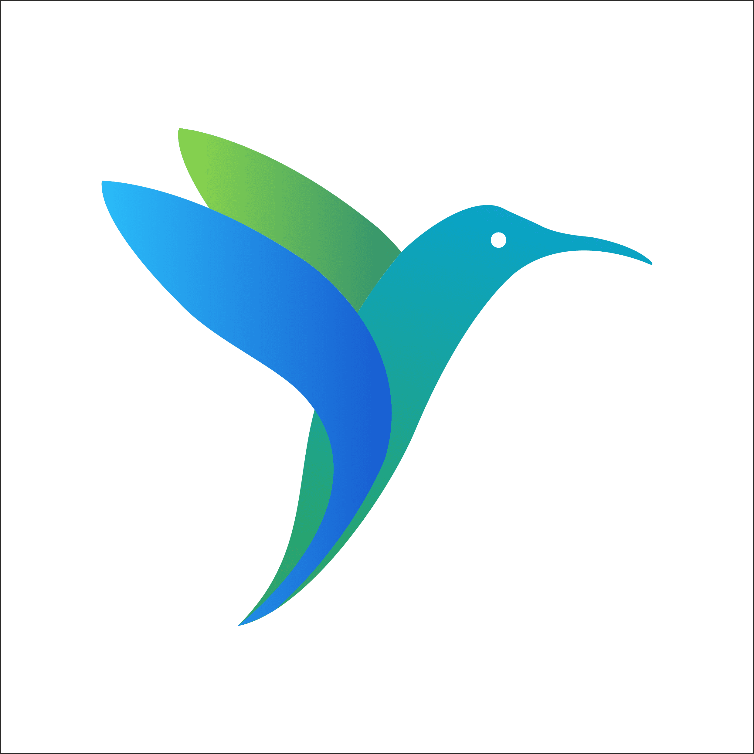 BirdmorningSolutions