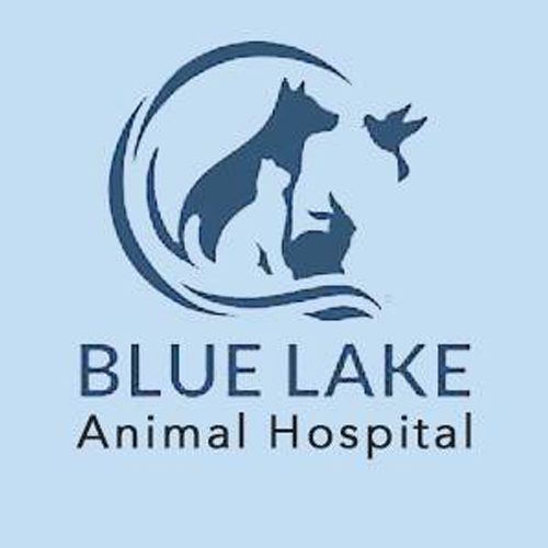 Blue LakeAnimal Hospital