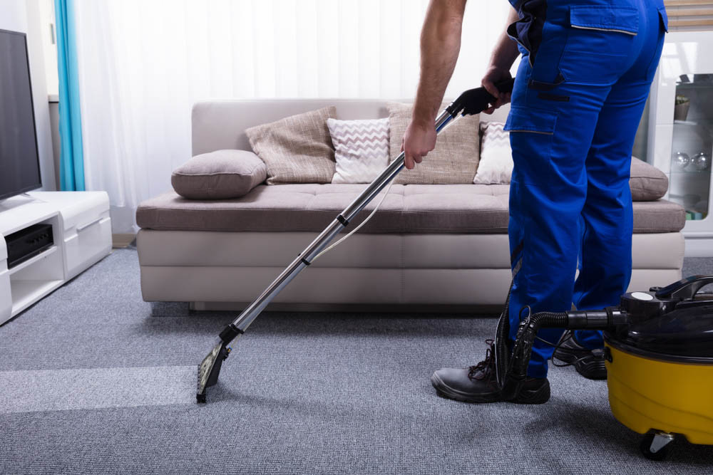 Ever Steam Carpet Cleaning LLC