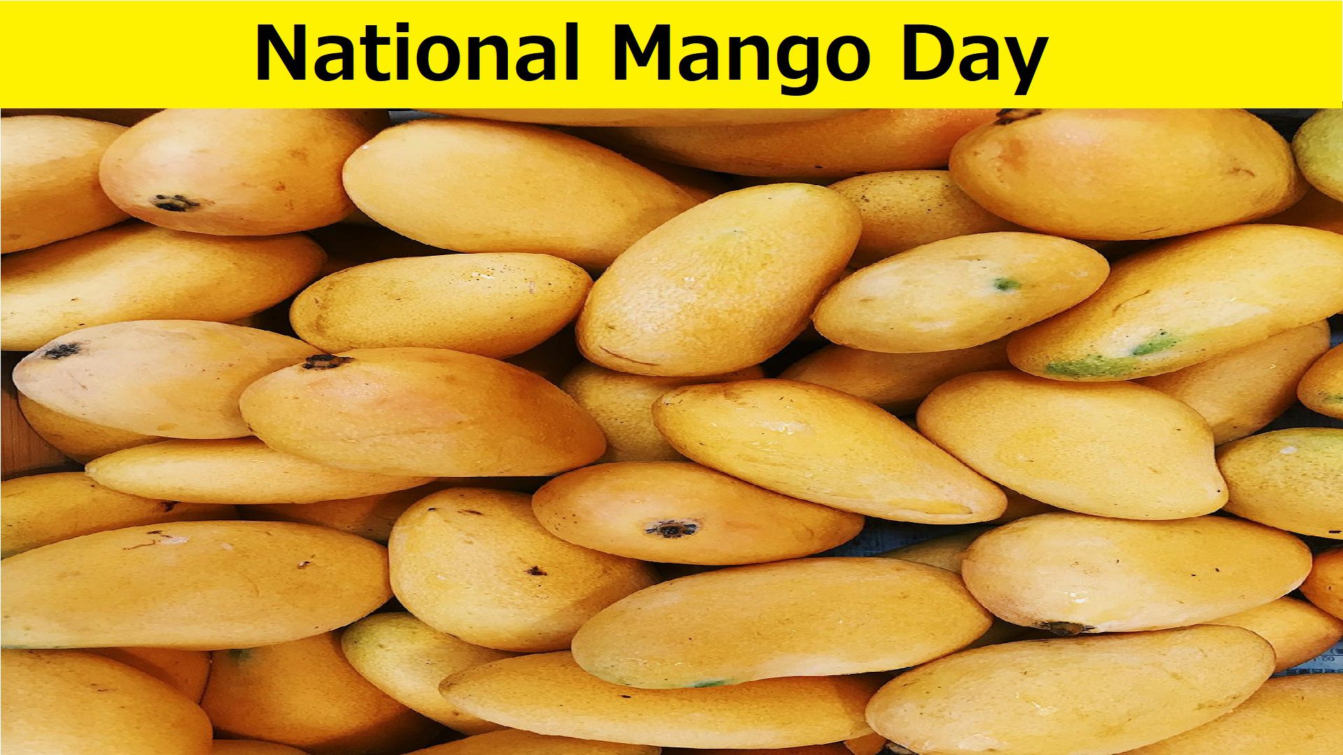National Mango Day 2025