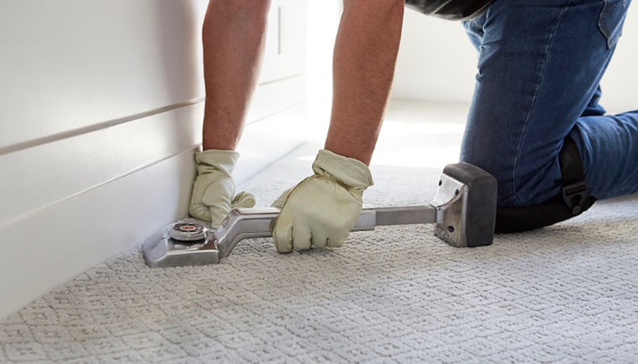 THE CARPET MAN