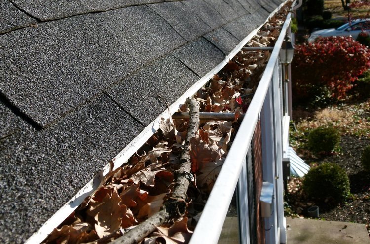 Warrior Gutters Enterprise LLC