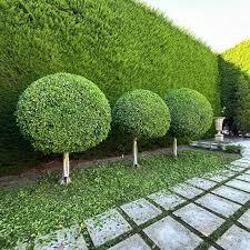 GreenGo GardenService