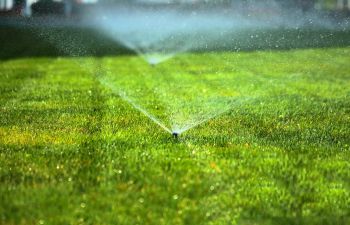 Hoskins Landscaping Contractors in Incline Village