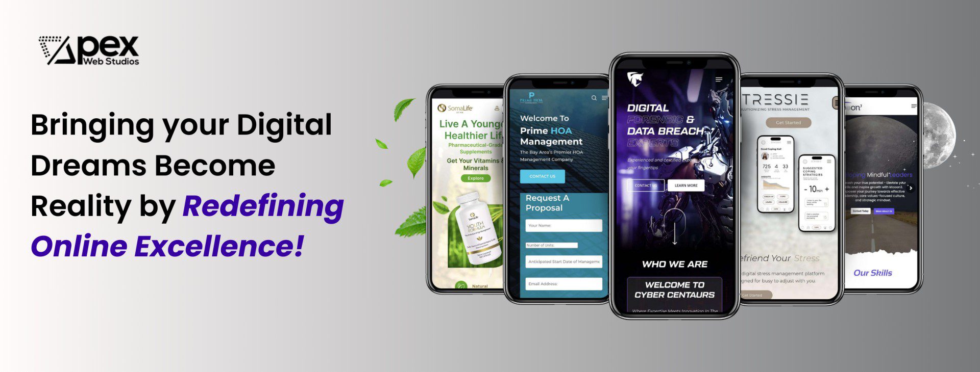 Best Digital Agency in USA Apex Web Studios