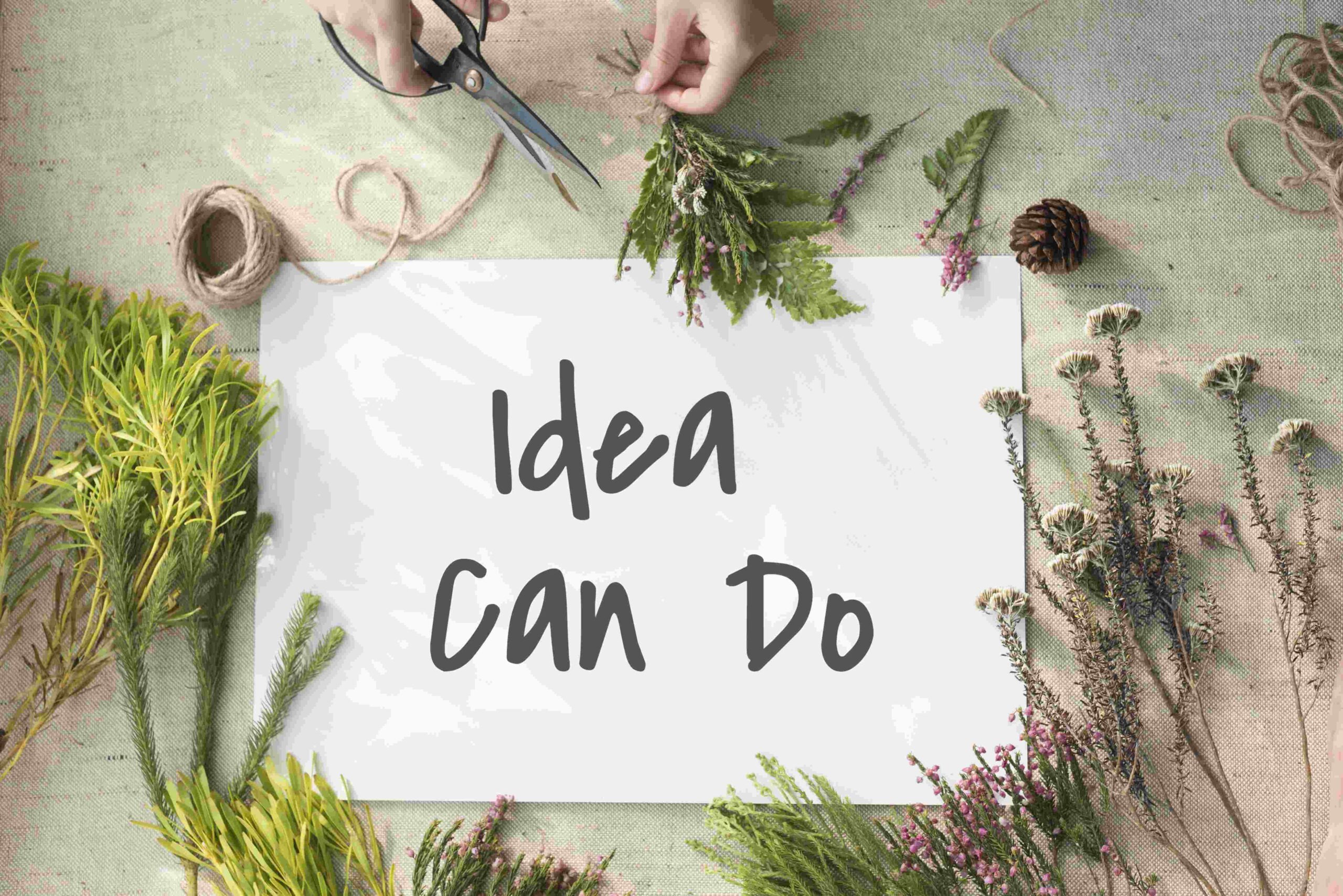 Best Resume Headline Examples