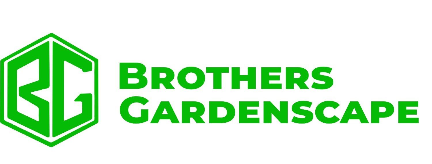Hedging services in Brisbane - Brothers Gardenscape