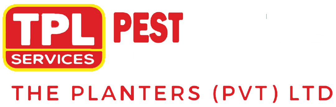 Pest control services