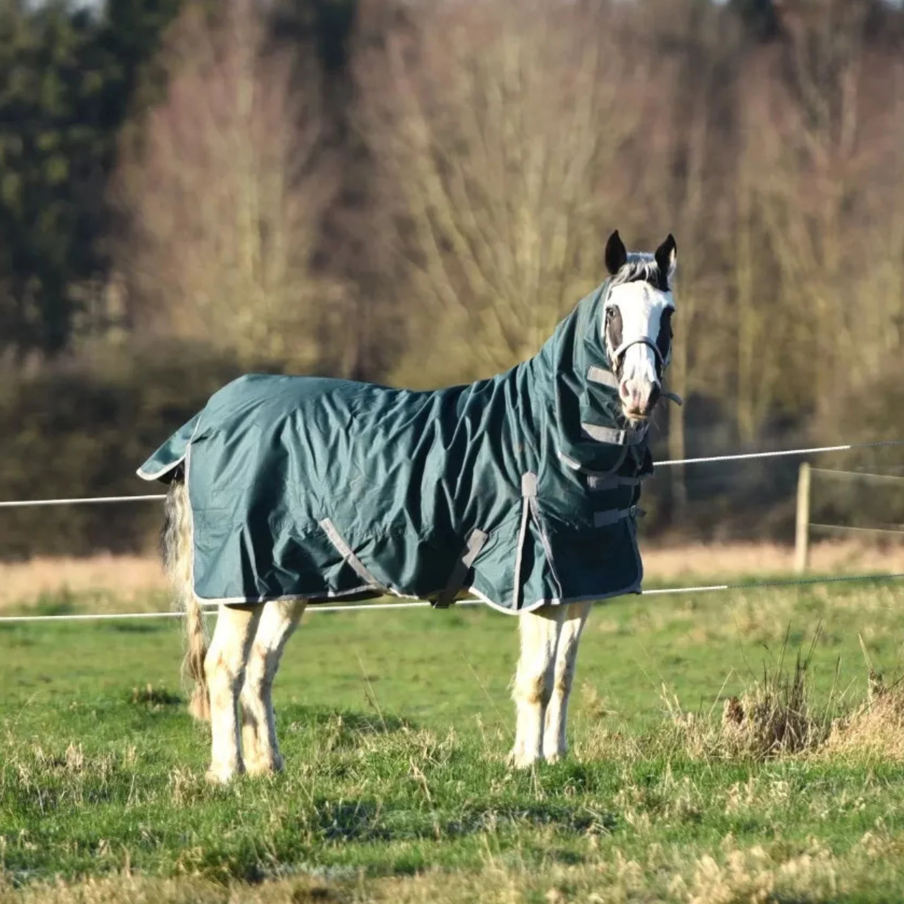 Autumnn Equestrian