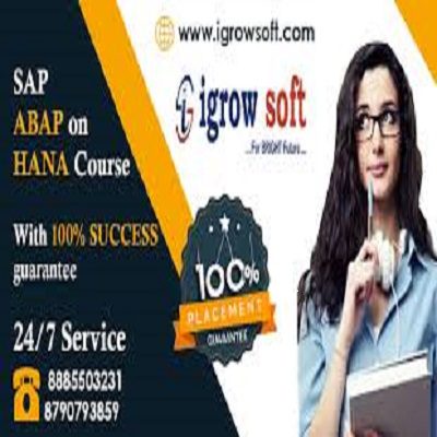 SAP ABAP on HANA | SAP S4 HANA Online  Training in Ameerpet | Igrowsoft