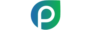 Promiya Digital Marketing Solutions