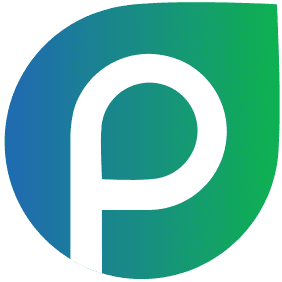 Promiya Digital Marketing Solutions