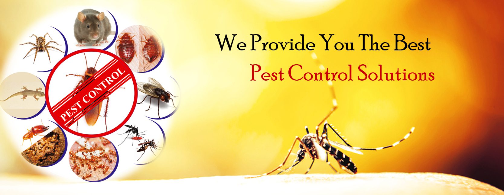 Pest Guard