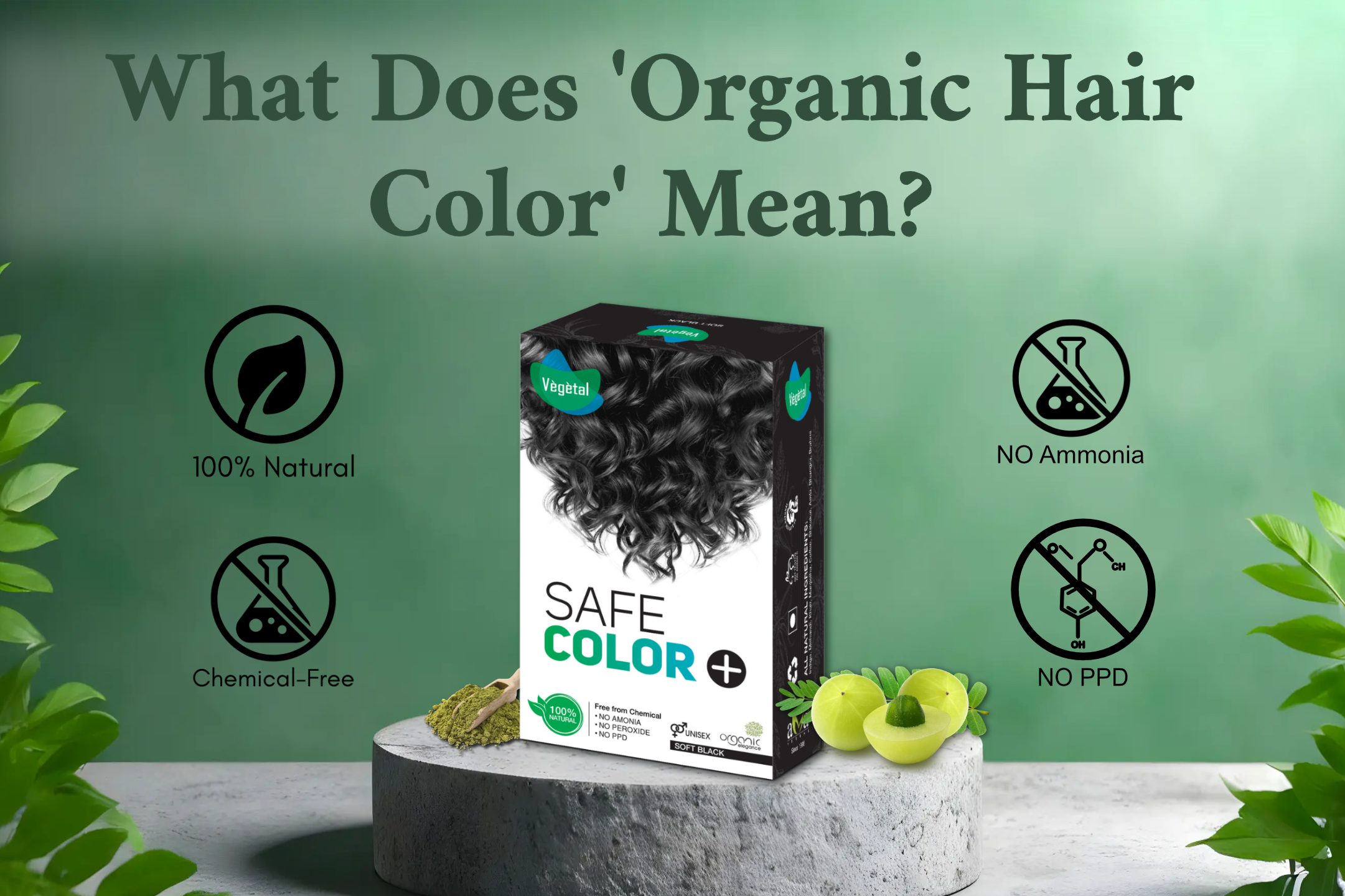 Vegetal Organic Hair Color for Gray Hair