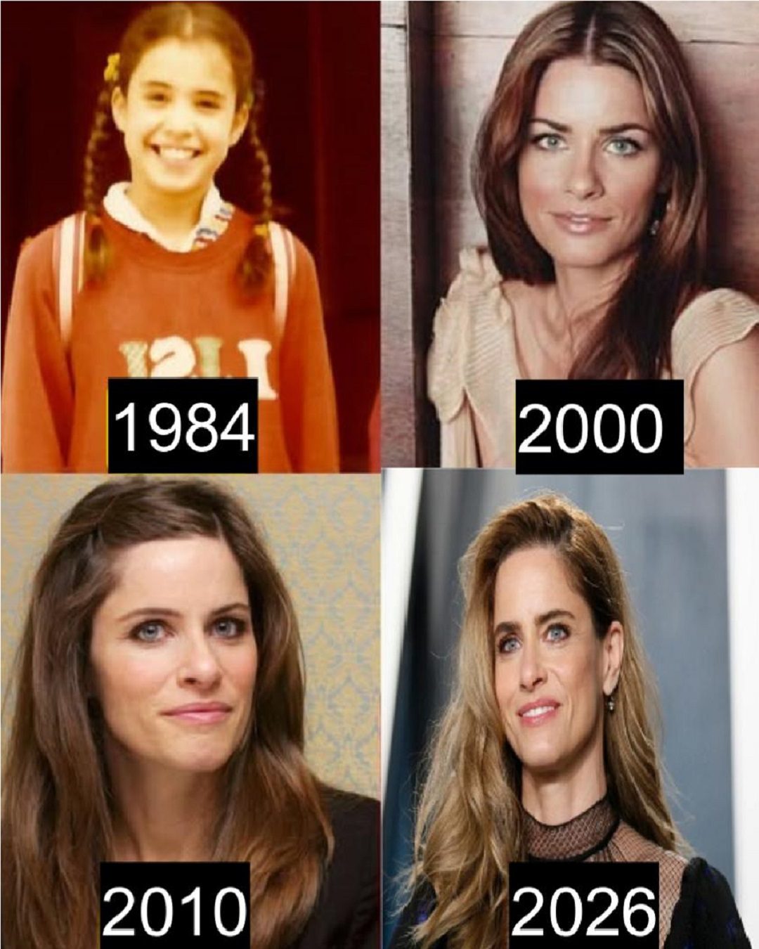 Amanda Peet: Biography, Age, Life, Career, Net Worth & Family every thing know about her