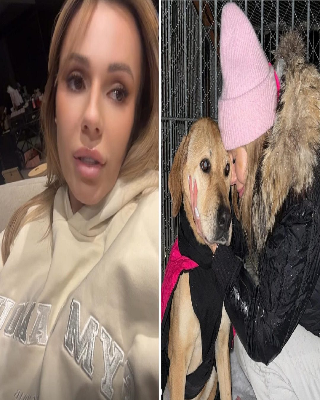 Doda od początku stycznia pomaga bezdomnym zwierzętom. Doda w Sejmie o los bezdomnych zwierząt